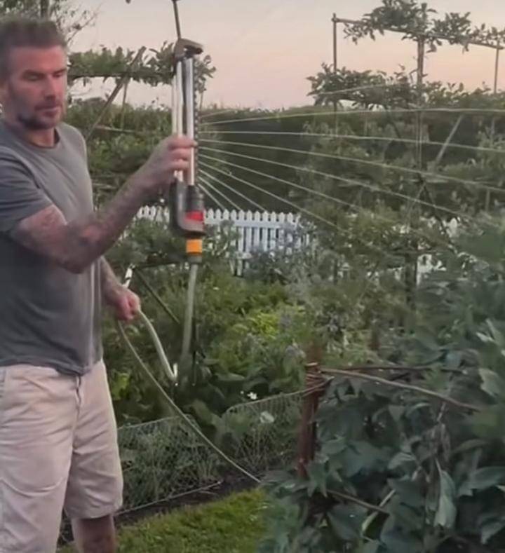 potret David Bechkam berkebun