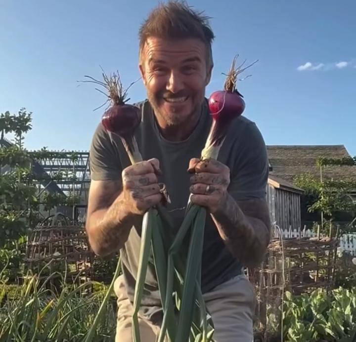 potret David Bechkam berkebun