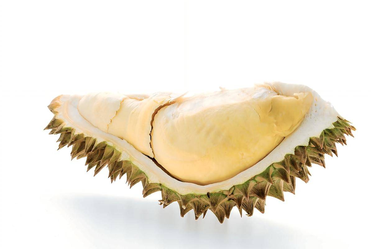 durian