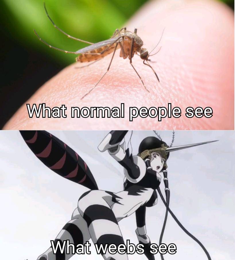 meme anime tentang nyamuk
