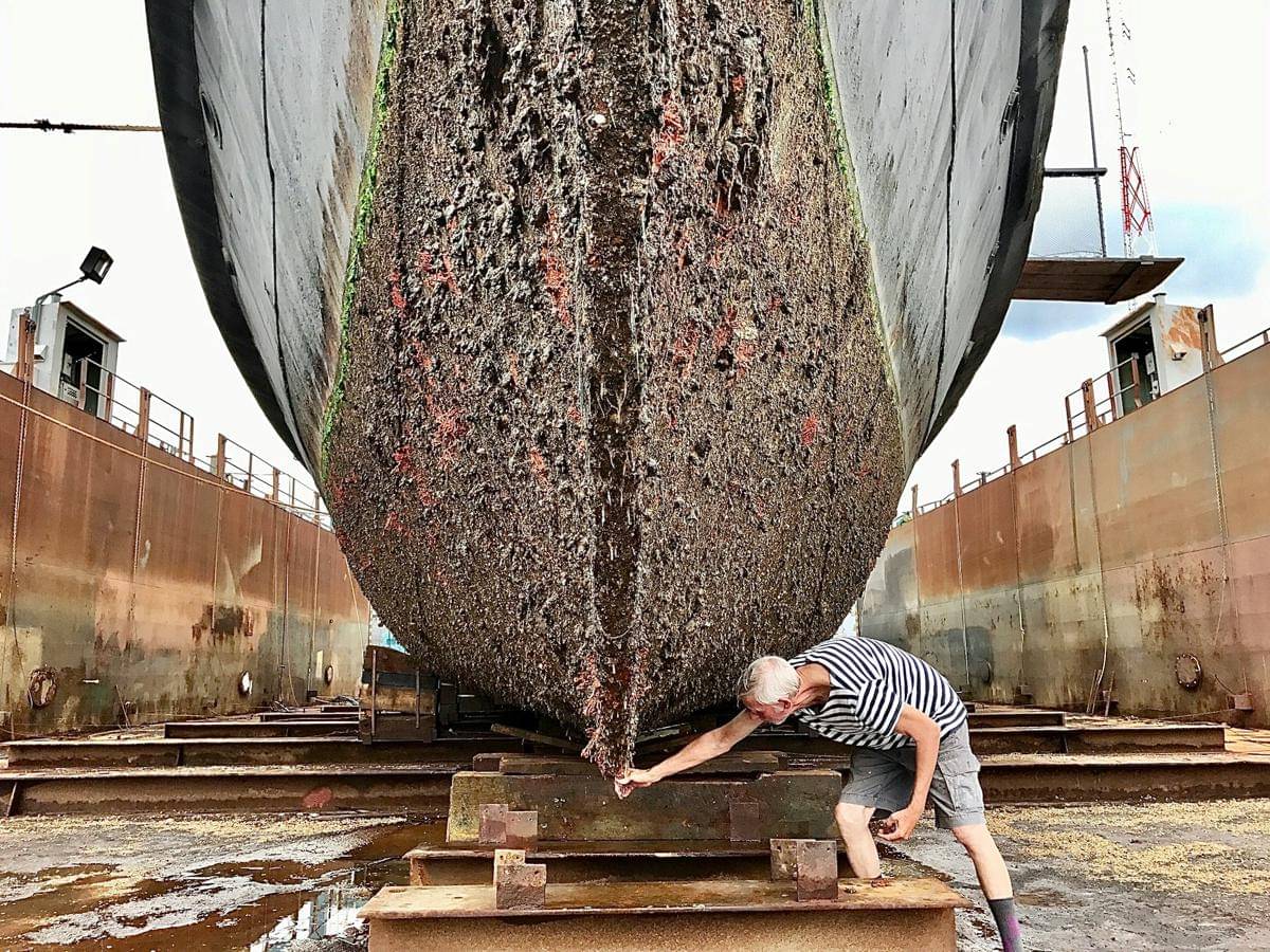 Barnacle cleaner