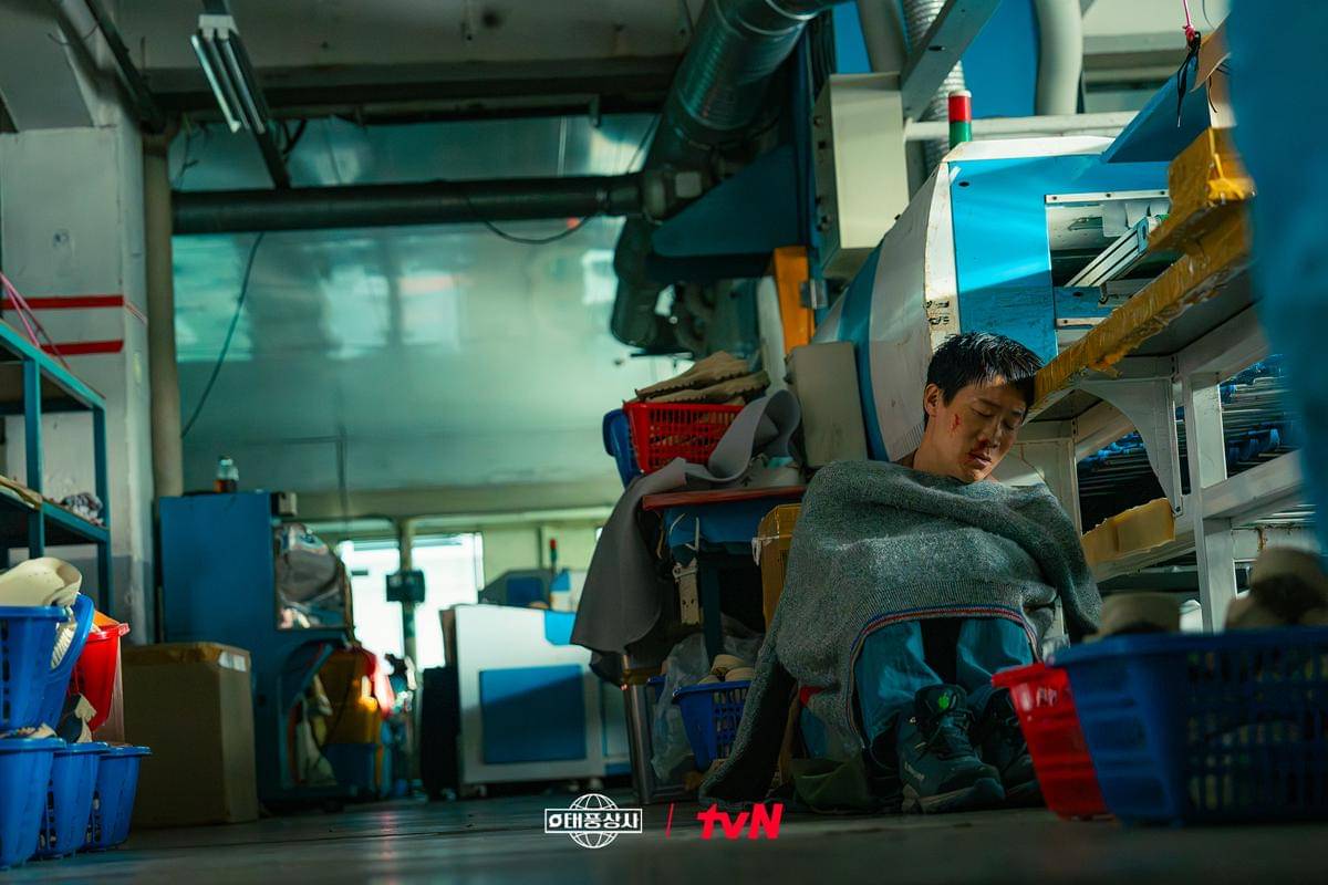 Jin Sun Kyu di Typhoon Family