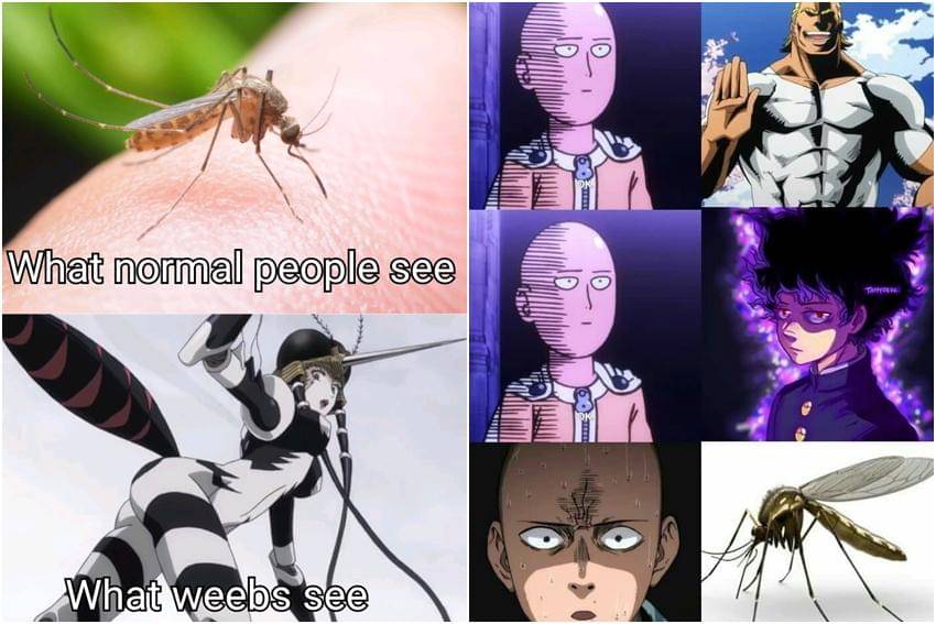 kolase meme anime tentang nyamuk