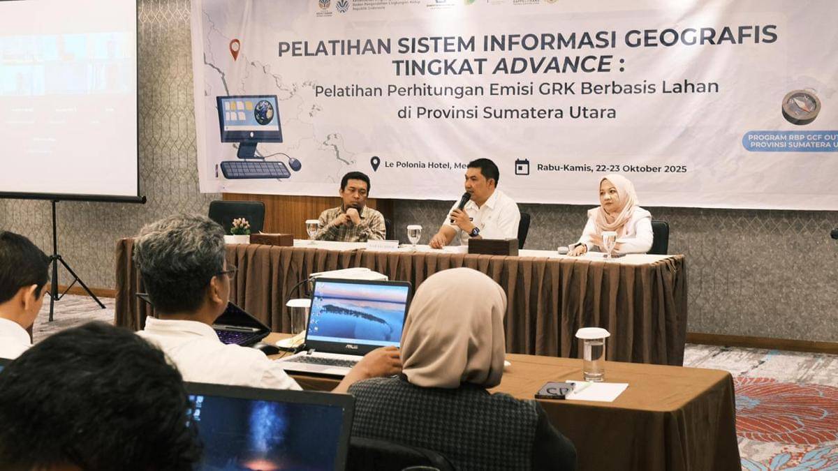 Pelatihan Sistem Informasi Geografis tingkat Advance yang digelar DLHK dan PETAI (dok.PETAI)