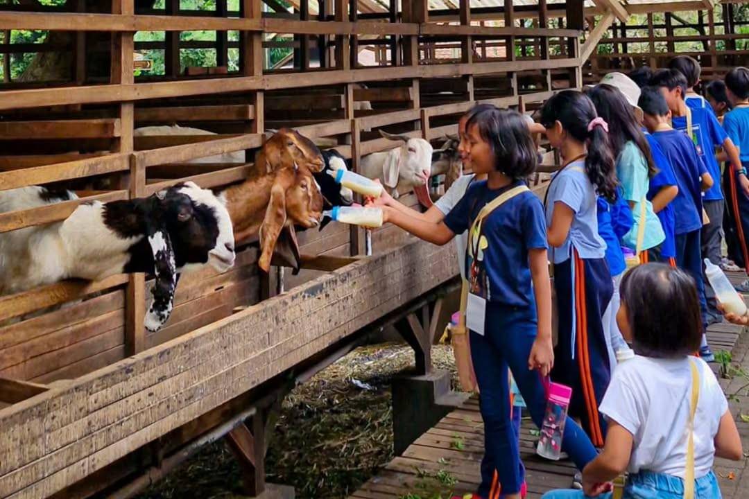 Kuntum Farmfield, Bogor