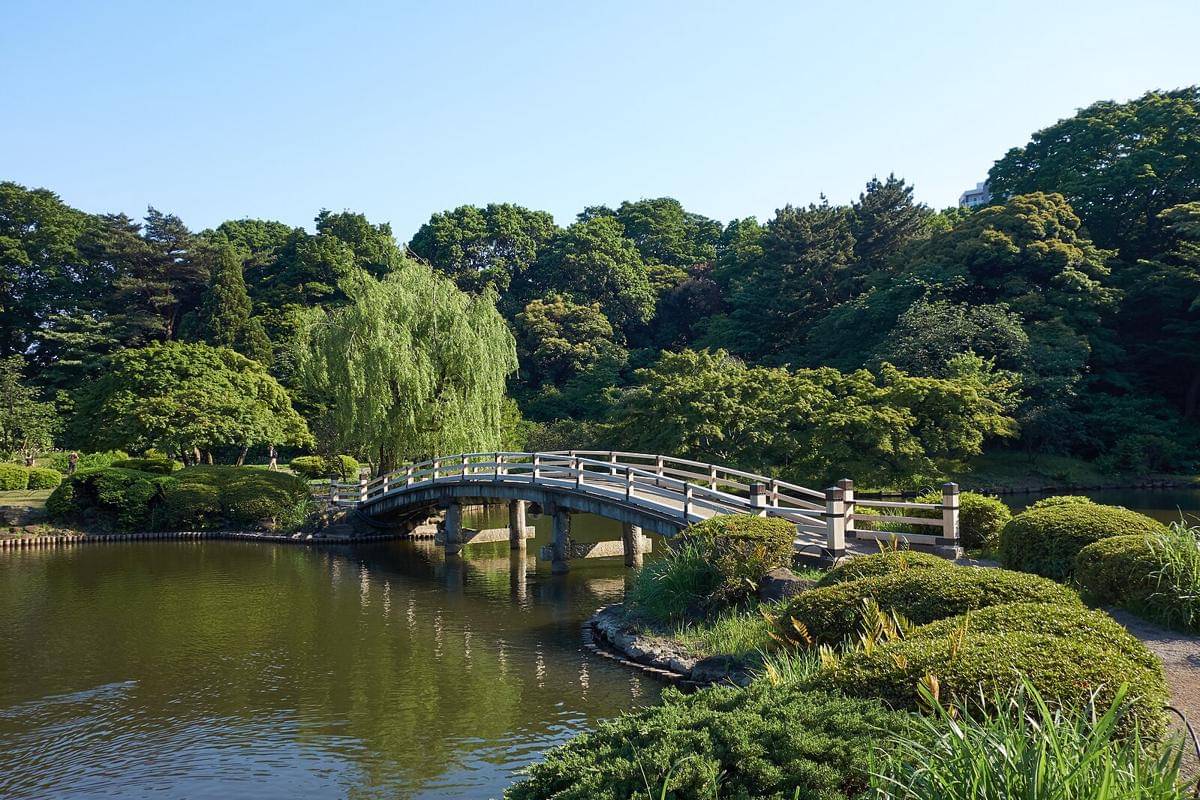 potret Shinjuku Gyoen National Garden