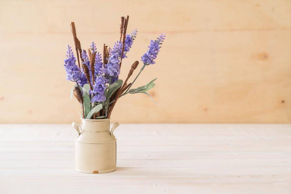 ilustrasi lavender