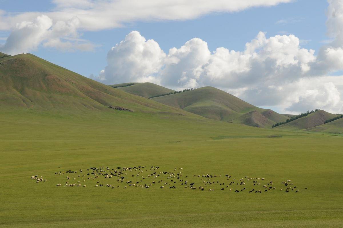 Potret Mongolian Steppe