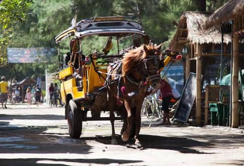 ilustrasi naik delman