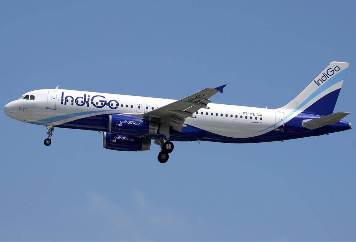 IndiGo