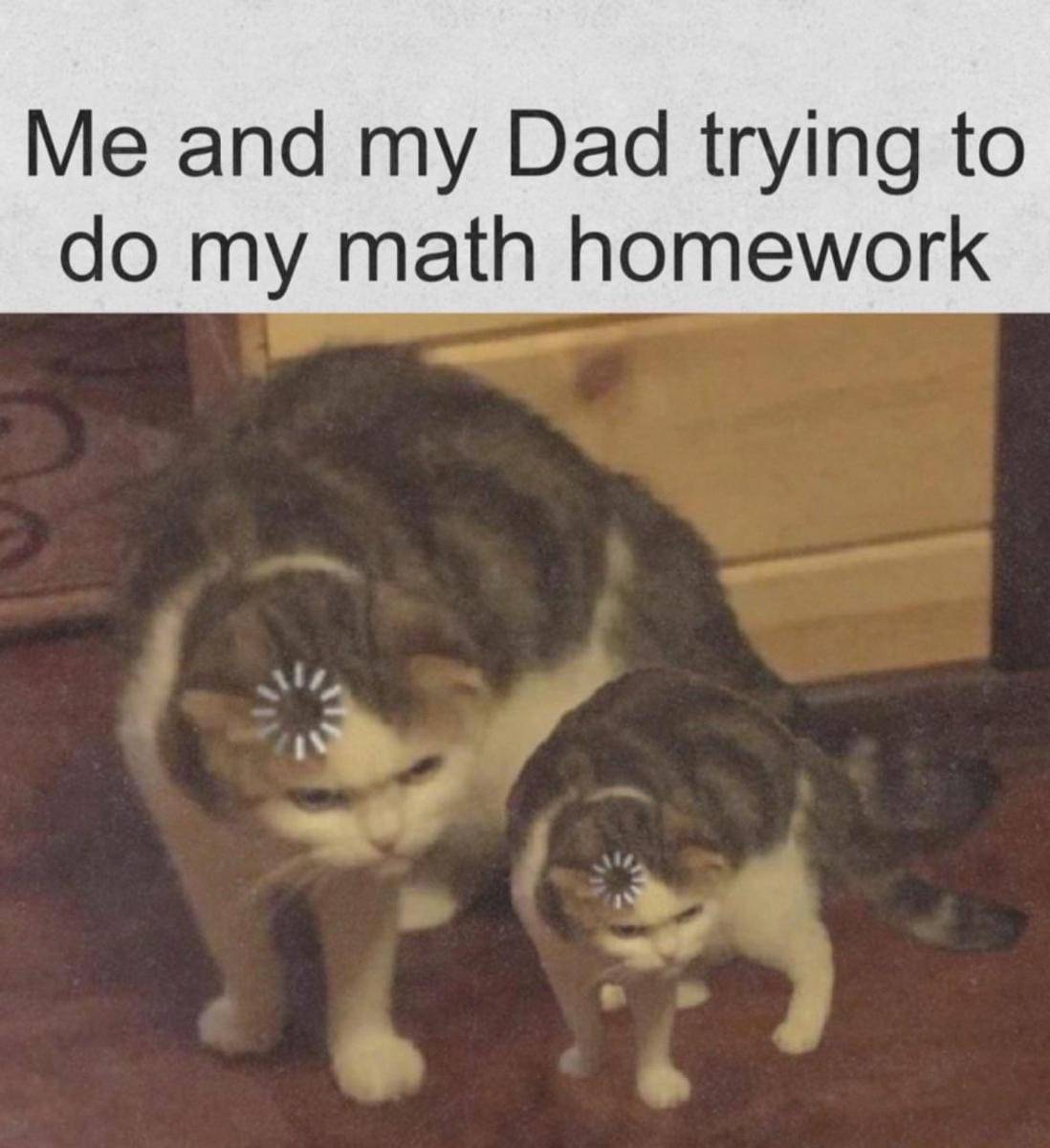 meme kucing tentang matematika