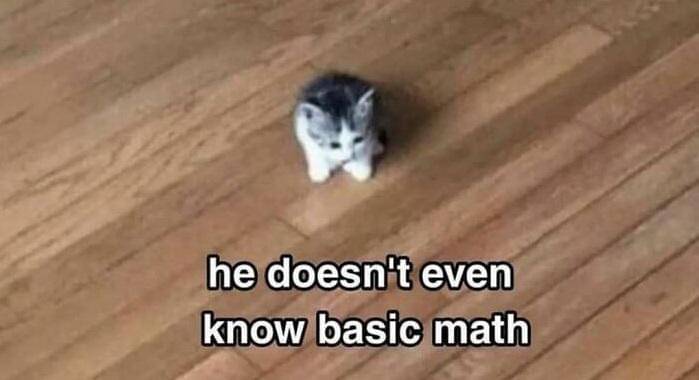 meme kucing tentang matematika