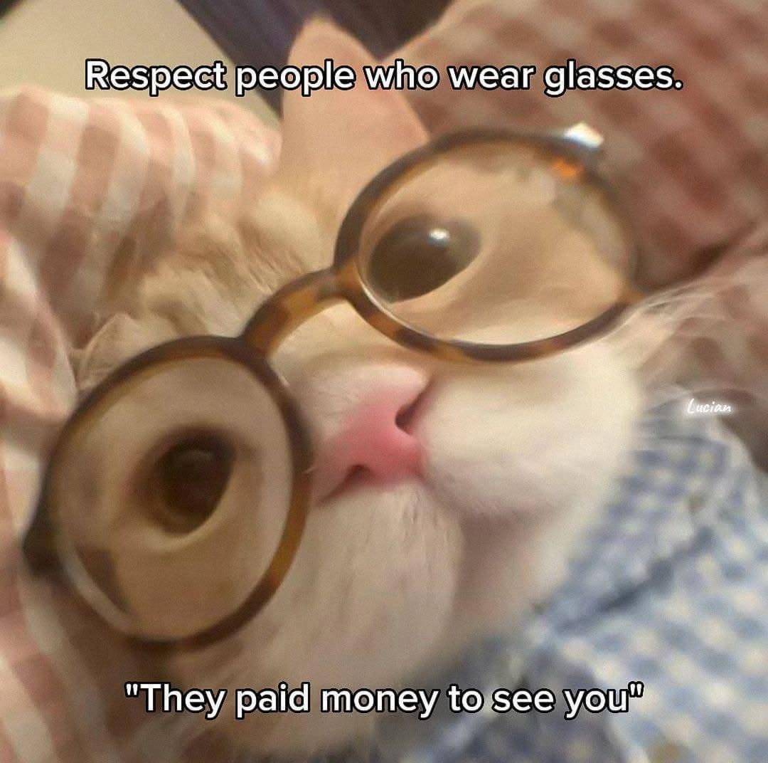 meme kucing tentang kacamata