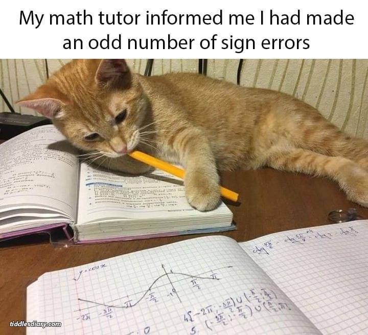 meme kucing tentang matematika