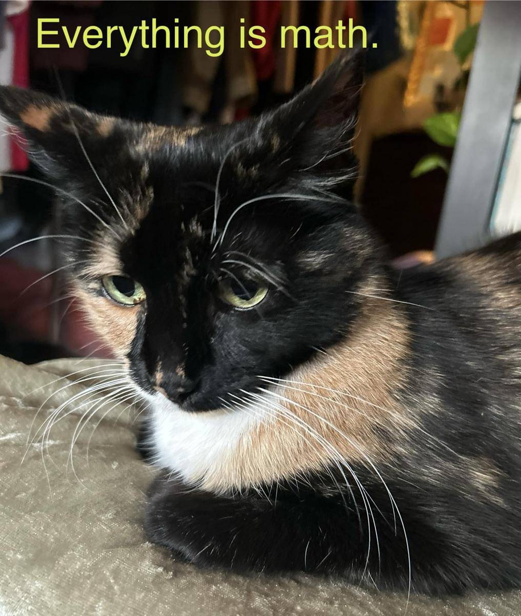 meme kucing tentang matematika