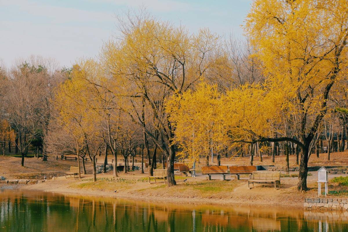 Seoul Forest, Korea Selatan