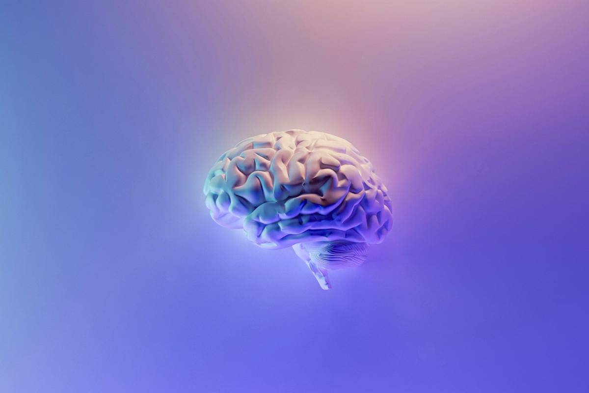 ilustrasi otak