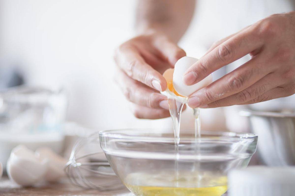 ilustrasi putih telur