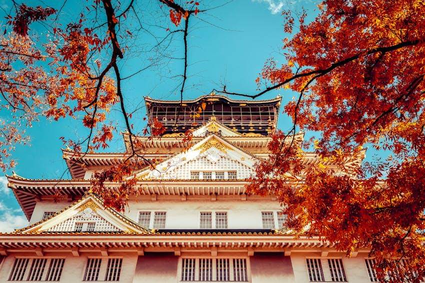 ilustrasi musim gugur