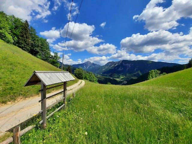 ilustrasi pemandangan pegunungan