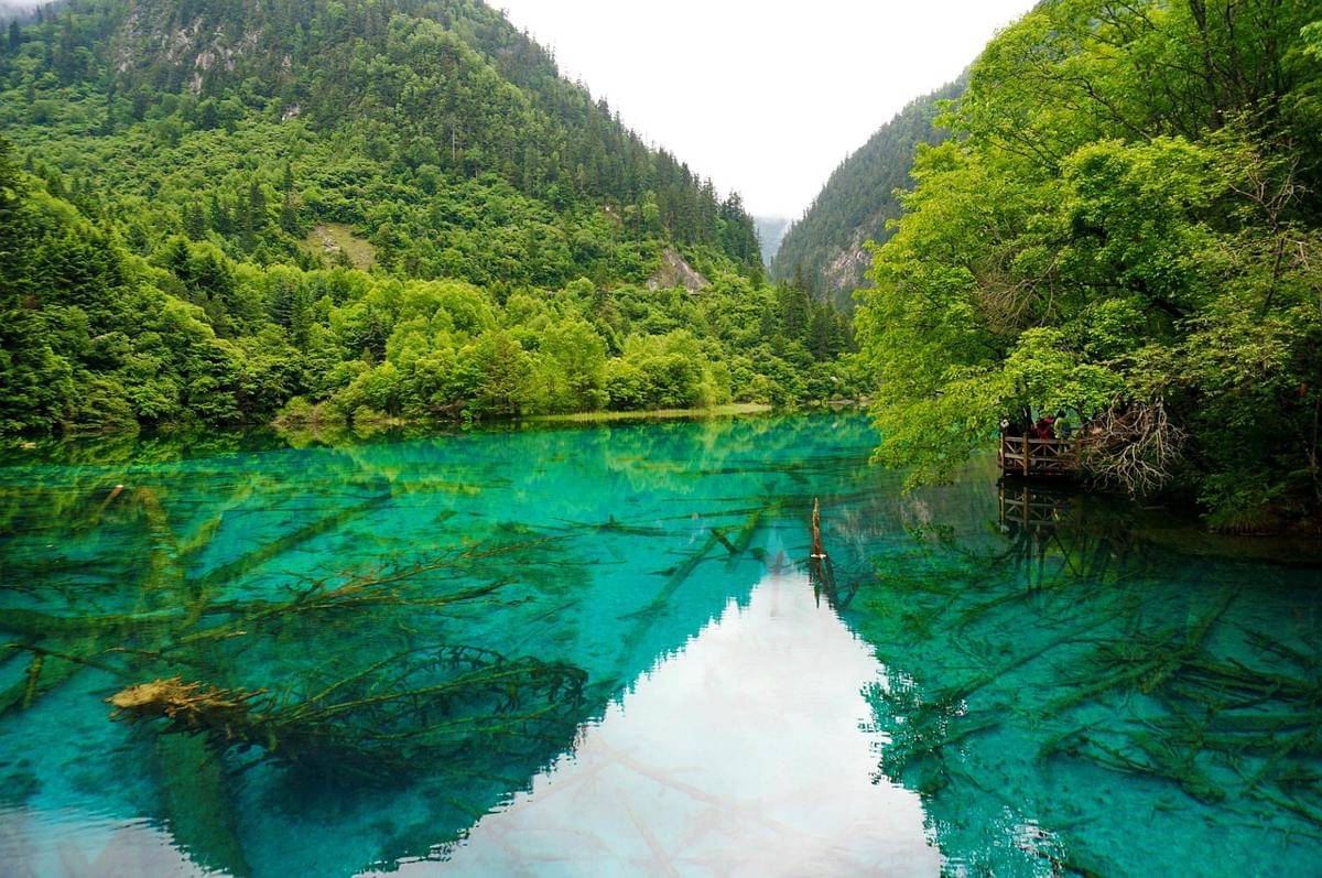 potret Jiuzhaigou, China