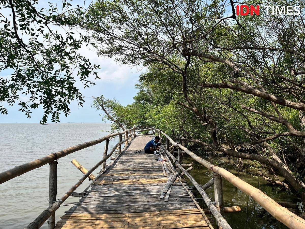 Potret warga memancing di Eco Wisata Mangrove Surabaya