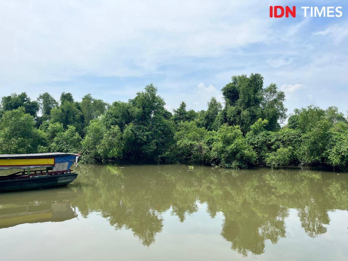 Potret suasana di Eco Wisata Mangrove Wonorejo Surabaya