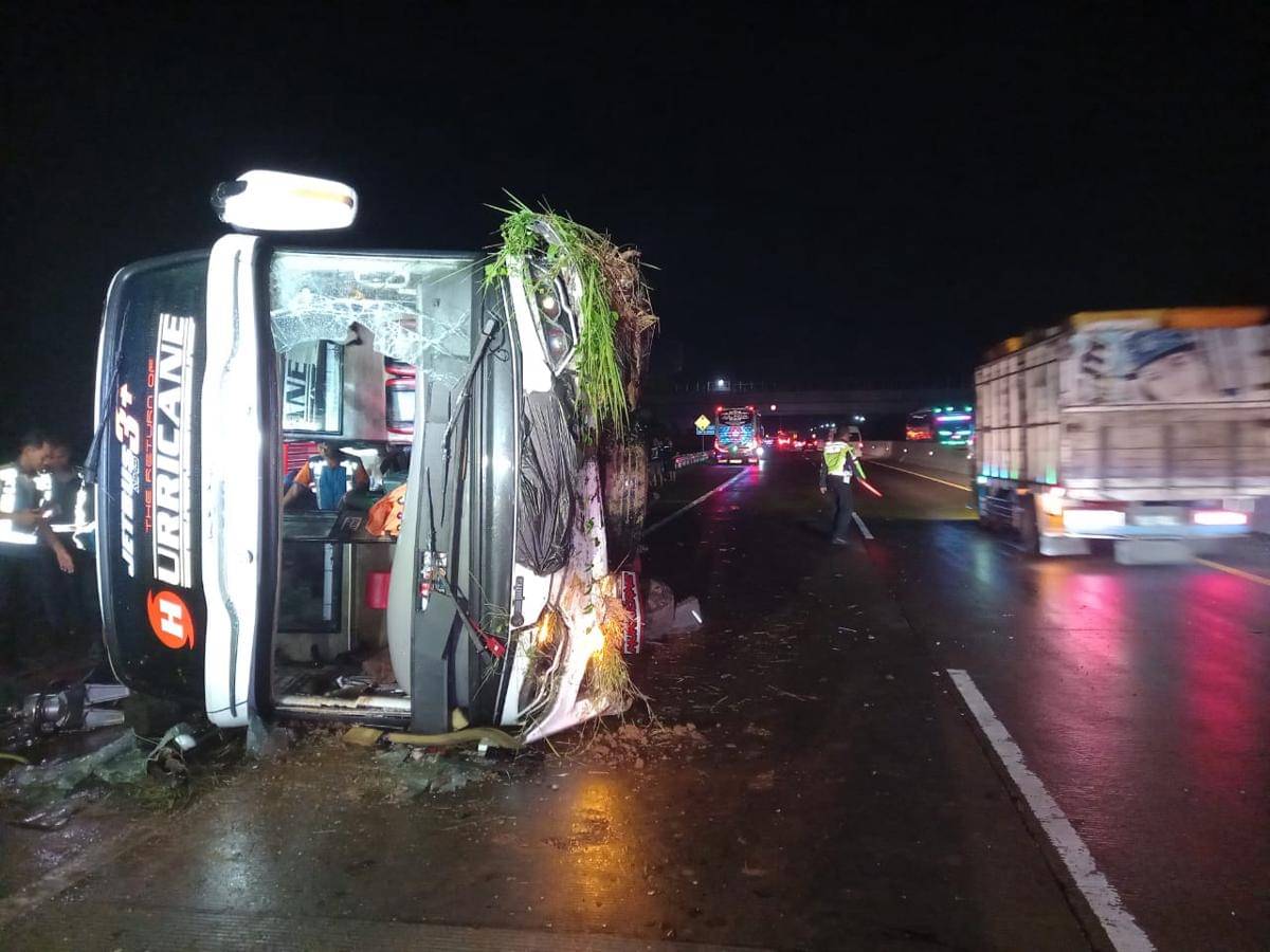 Bus antarkota PO Haryanto bernomor polisi B 7394 VGA terguling di ruas Tol Semarang–Batang KM 354 Jalur B, wilayah Desa Ponowareng, Kecamatan Tulis, Kabupaten Batang, Minggu (26/10/2025). (Dok. Ditlantas Polda Jateng)