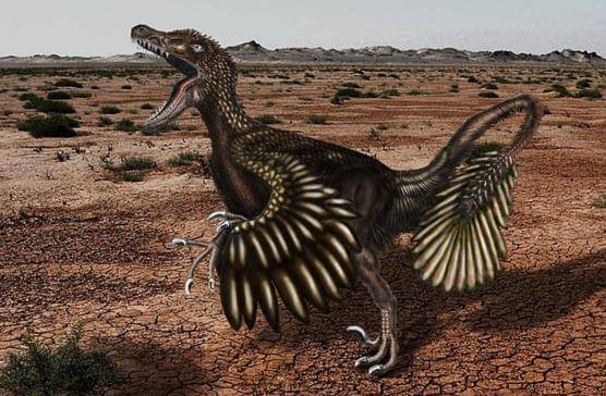 Ilustrasi Velociraptor