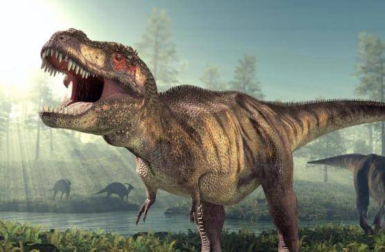 Ilustrasi Tyrannosaurus Rex