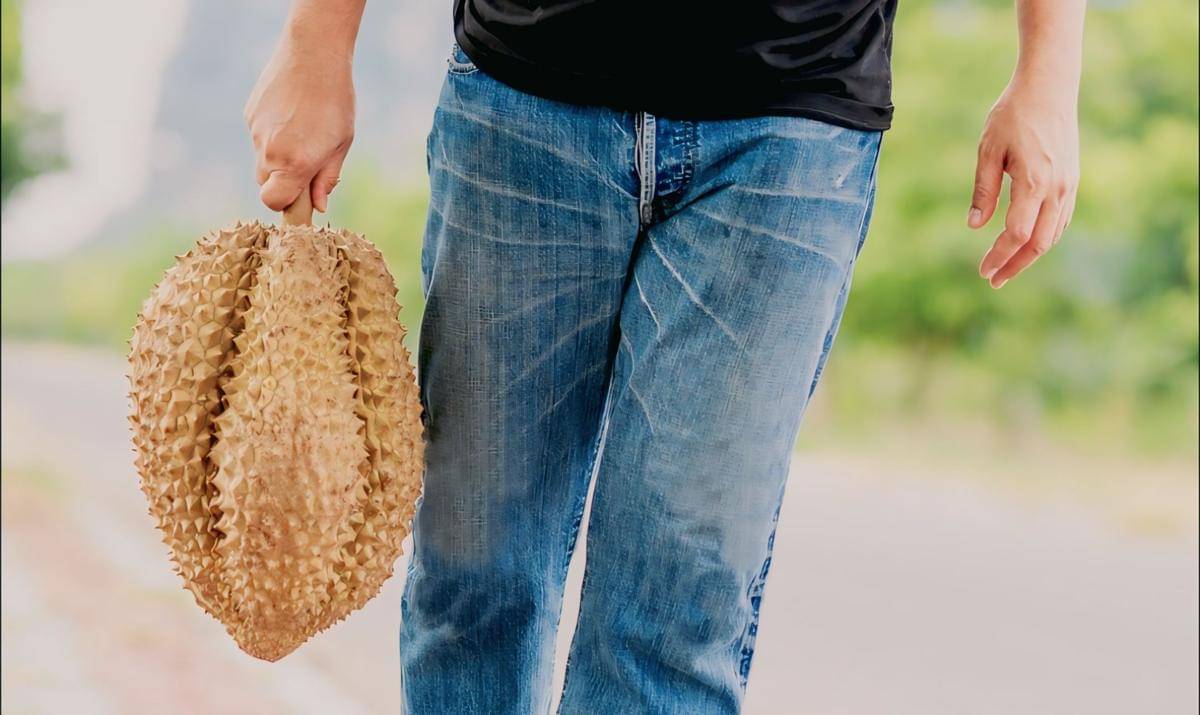 ilustrasi buah durian