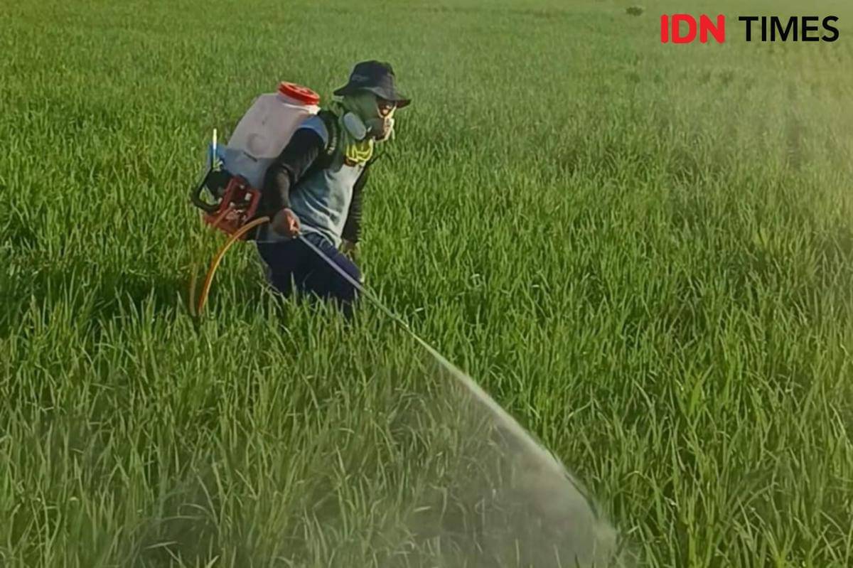Yusril Anwar dan Herbet Romadoni, 2 pemuda dari Desa Becok, Kecamatan Kartoharjo, Magetan sukses inovasi alat seprayer pestisida modifikasi. IDN Times/Riyanto.