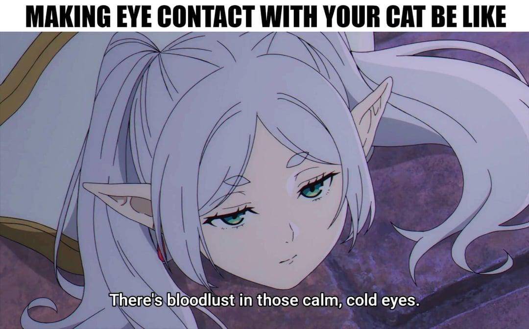 meme anime tentang kontak mata