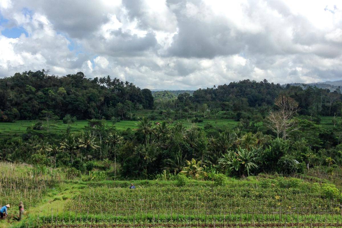 salah satu panorama alam di Sidemen (dok.pribadi/Natalia Indah)