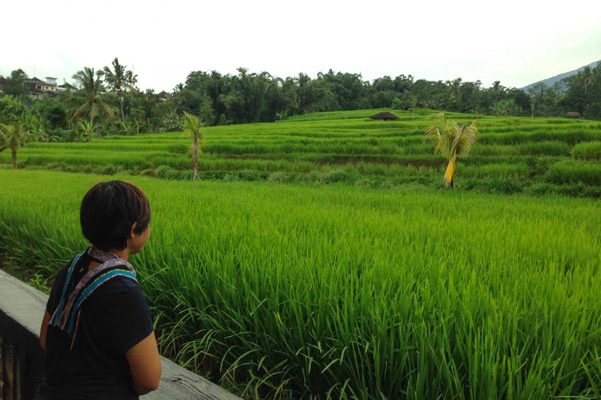 bersantai di tepi sawah di Jatiluwih (dok.pribadi/Natalia Indah)