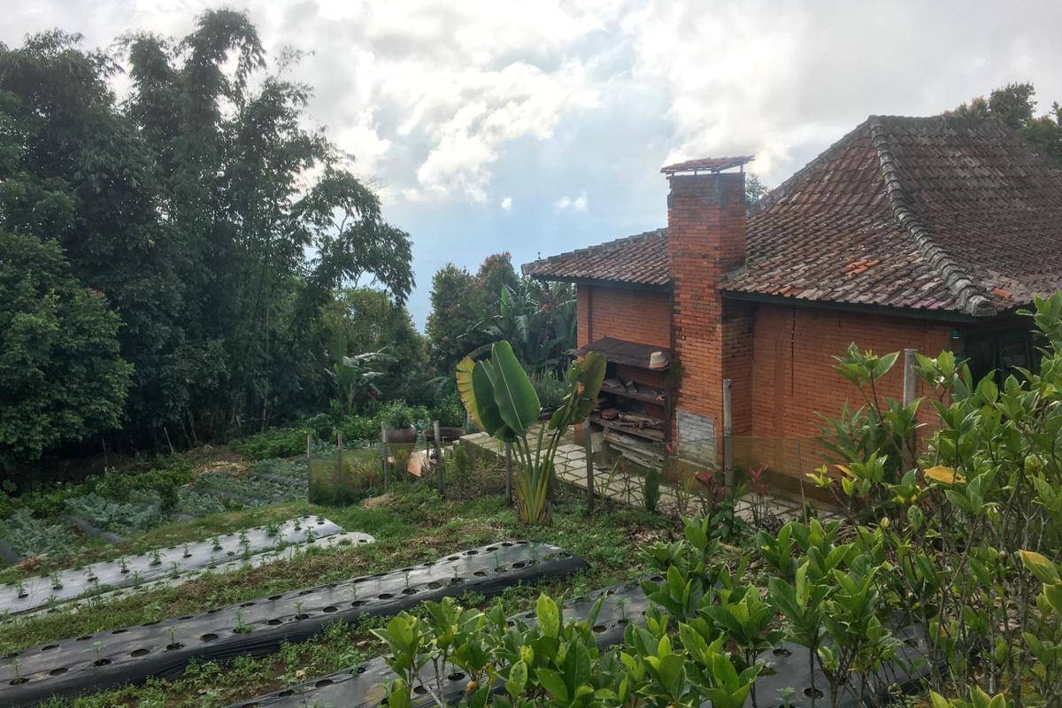 suasana salah satu penginapan di Desa Munduk, Buleleng (dok.pribadi/Natalia Indah)