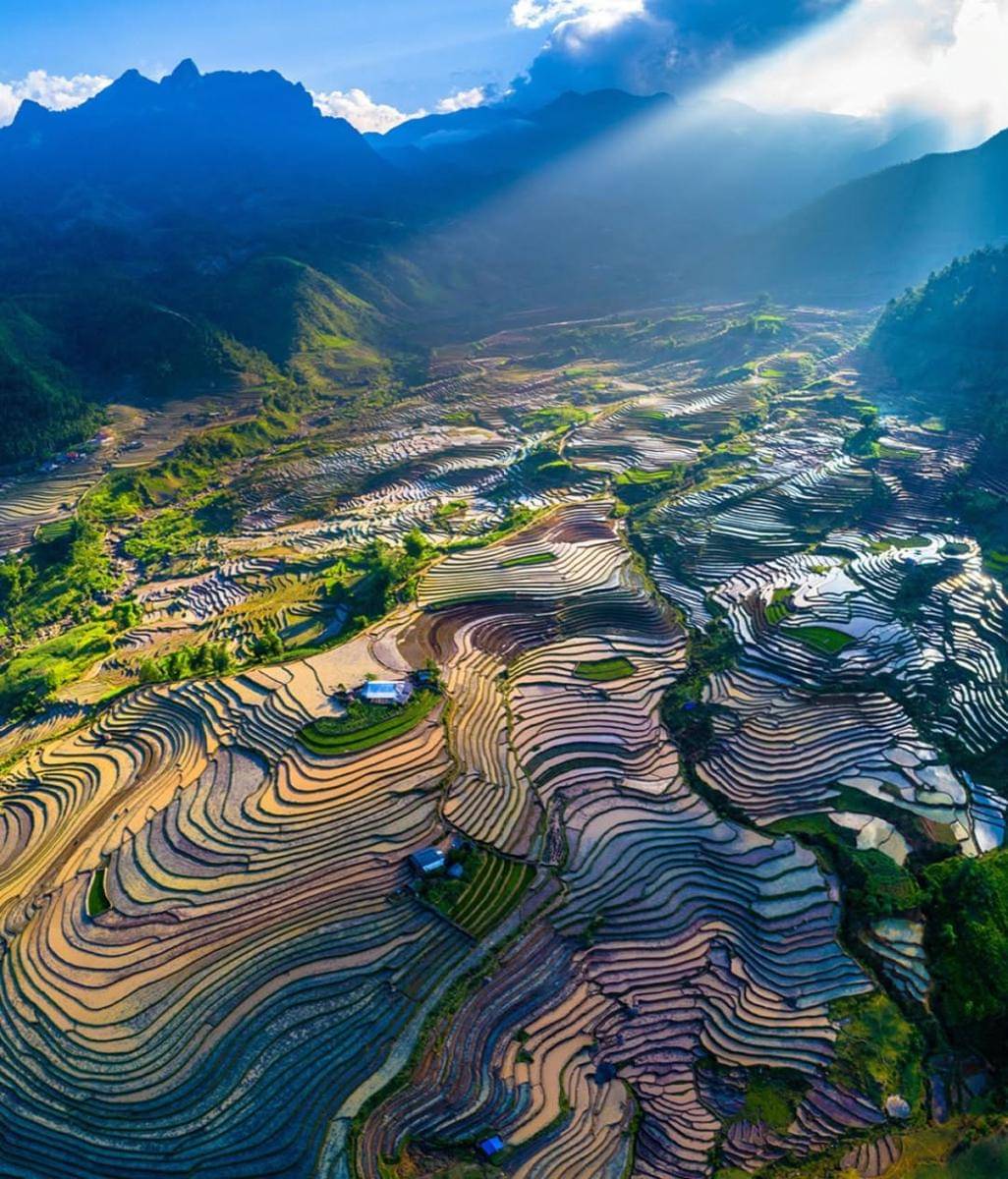 ilustrasi pemandangan sawah di Bat Xat Commune 