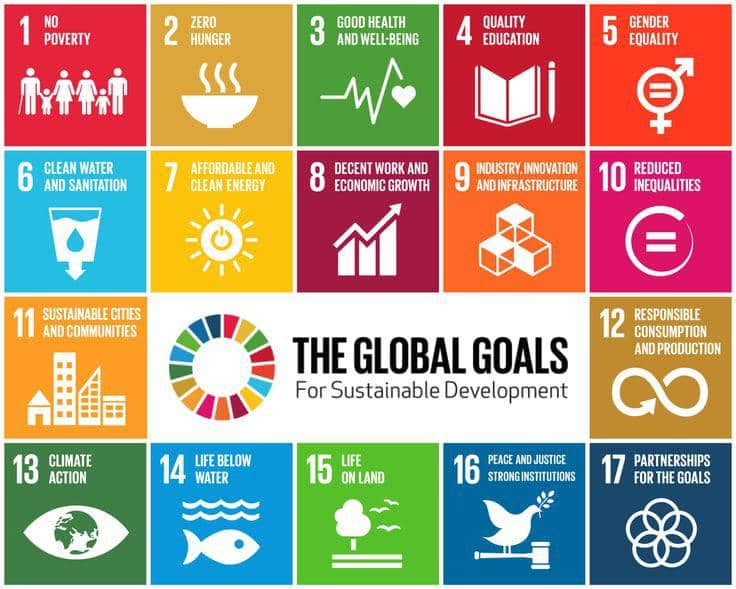 Daging buatan mendorong SDGs