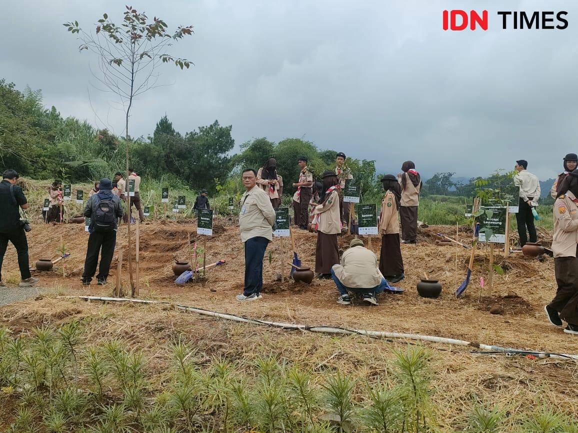 penanaman pohon di Puncak Bogor.jpeg