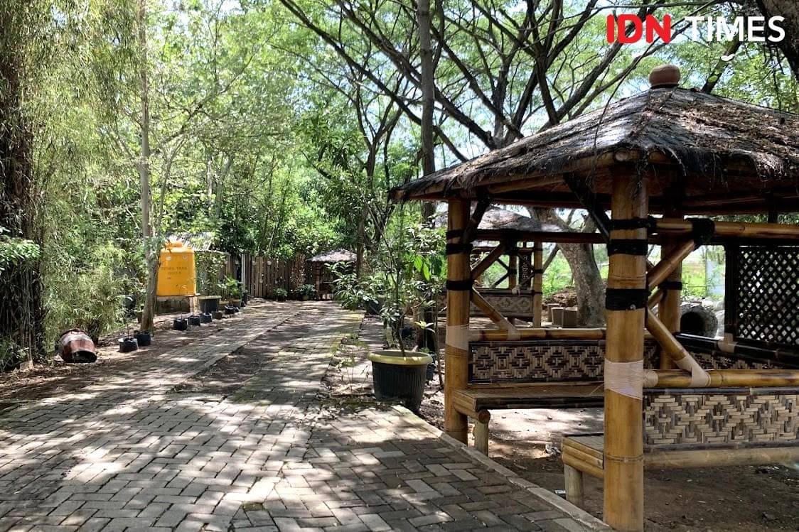 Potret Jogging Track di Kebun Raya Mangrove Wonorejo Surabaya