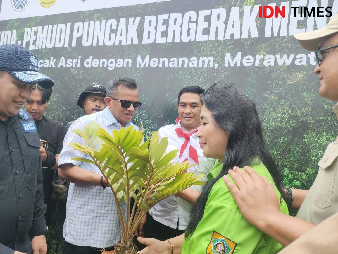 puncak bogor.jpeg