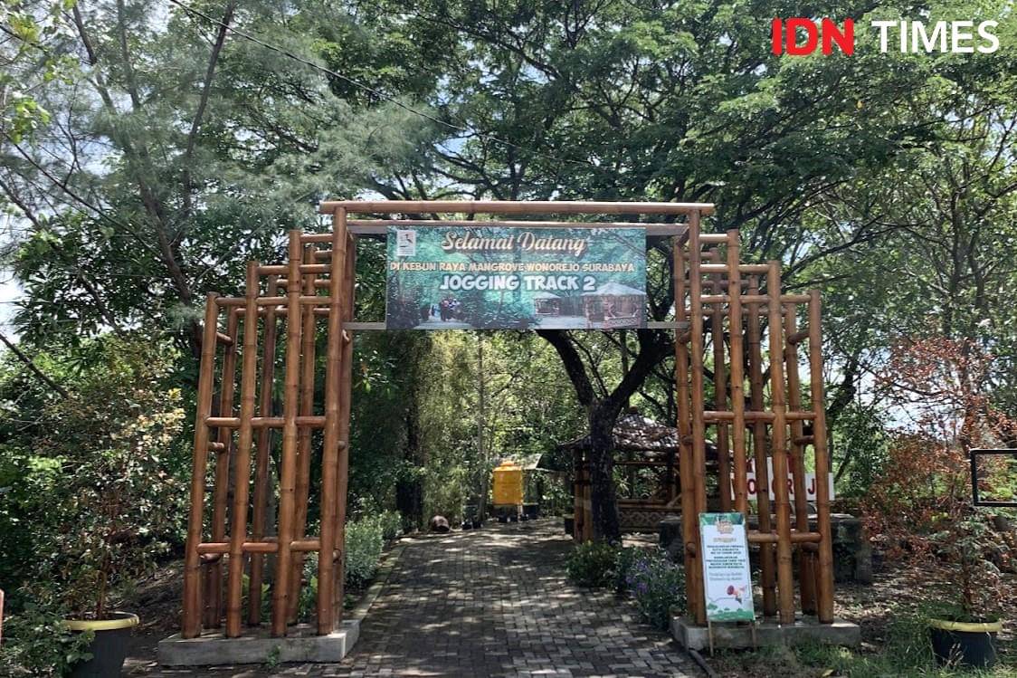 Potret Jogging Track di Kebun Raya Mangrove Wonorejo Surabaya
