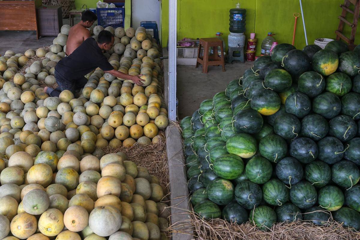 Pedagang buah di Pasar Rau, Serang