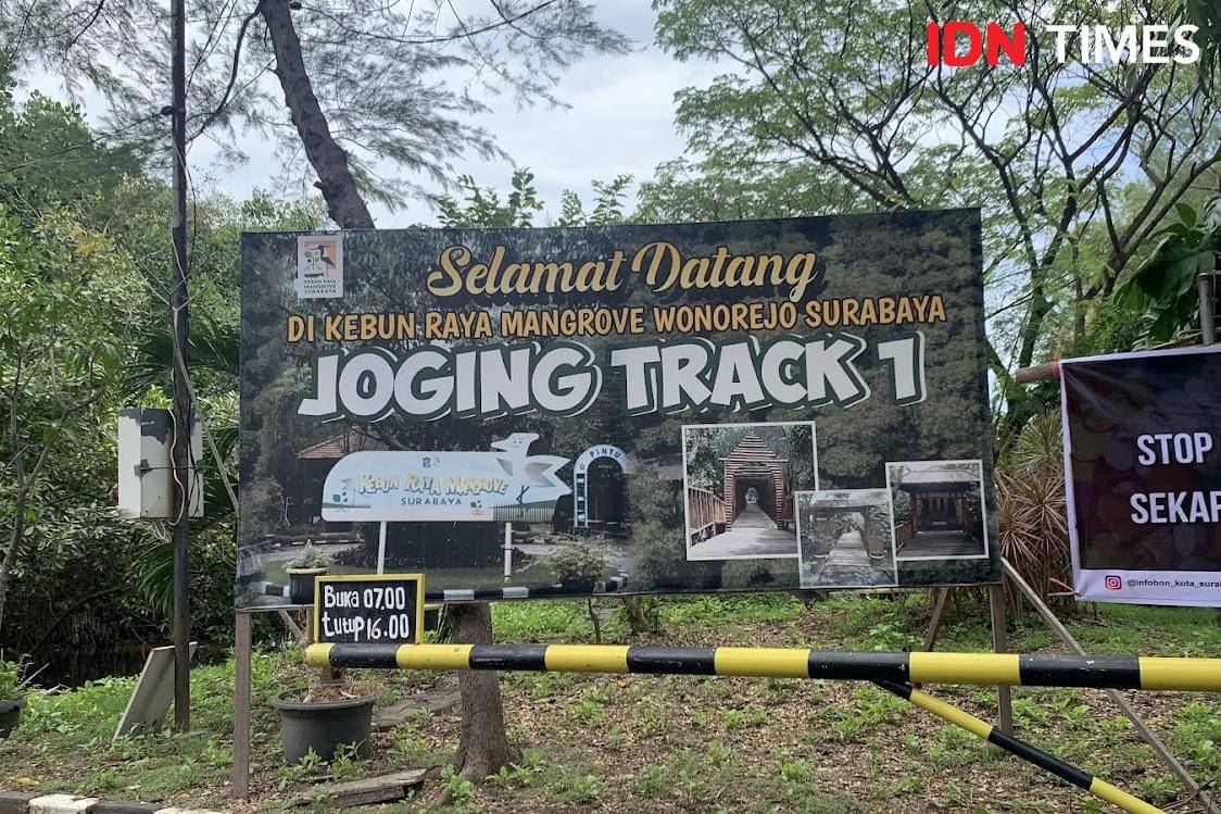 Potret Jogging Track di Kebun Raya Mangrove Wonorejo Surabaya