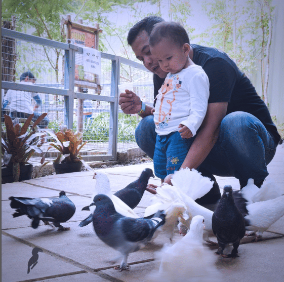 Bird Pavilion wisata di Dago