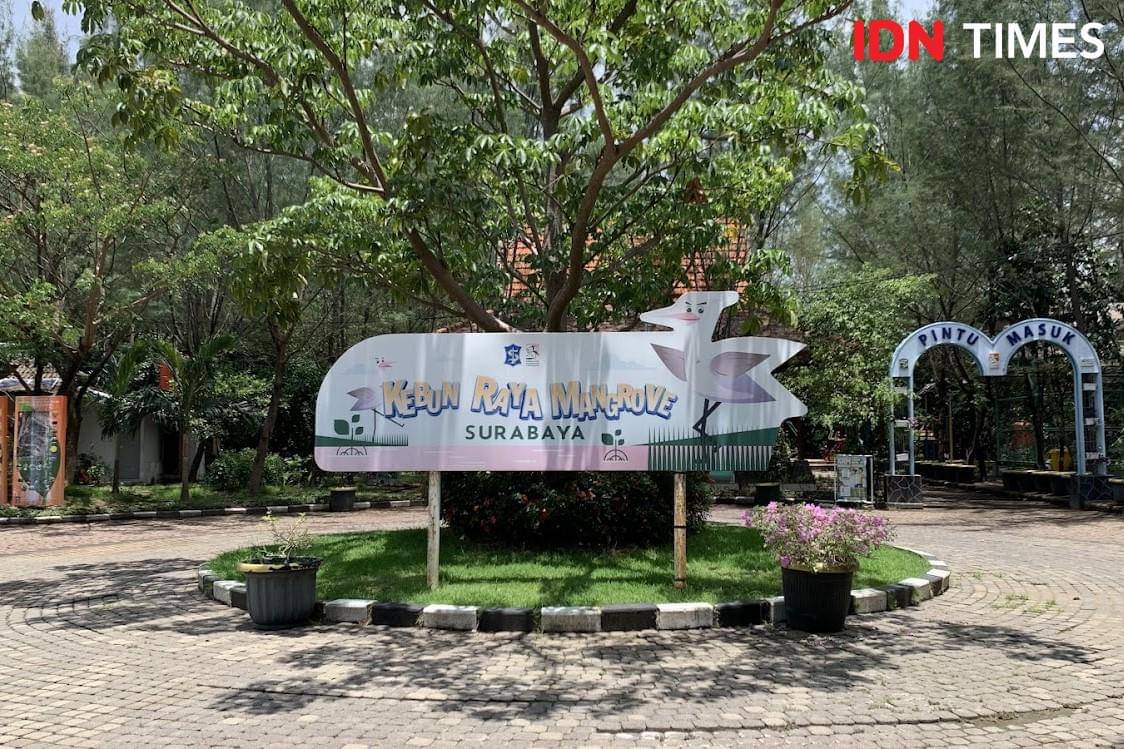 Potret Jogging Track di Kebun Raya Mangrove Wonorejo Surabaya