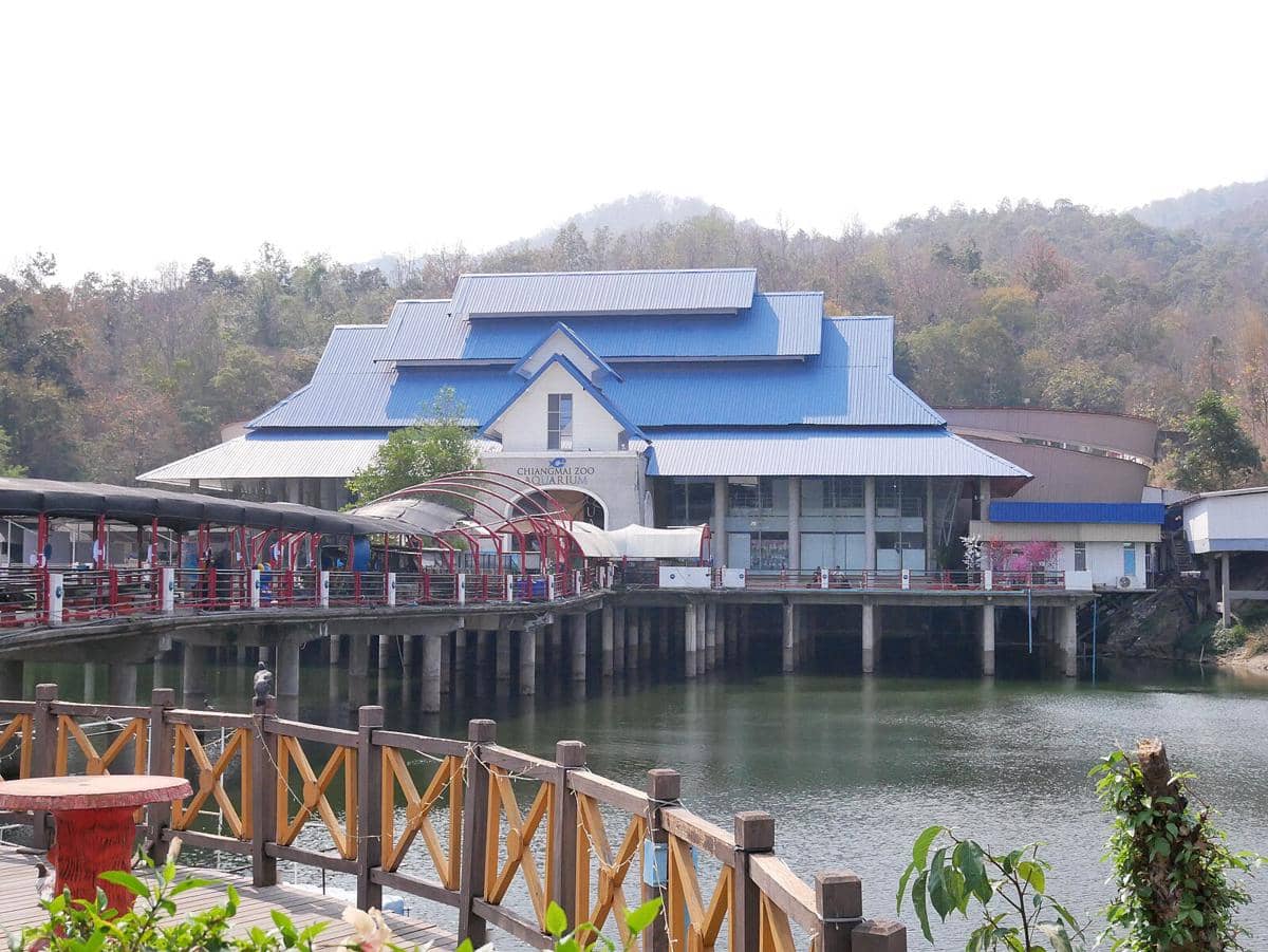 potret akuarium di Chiang Mai Zoo