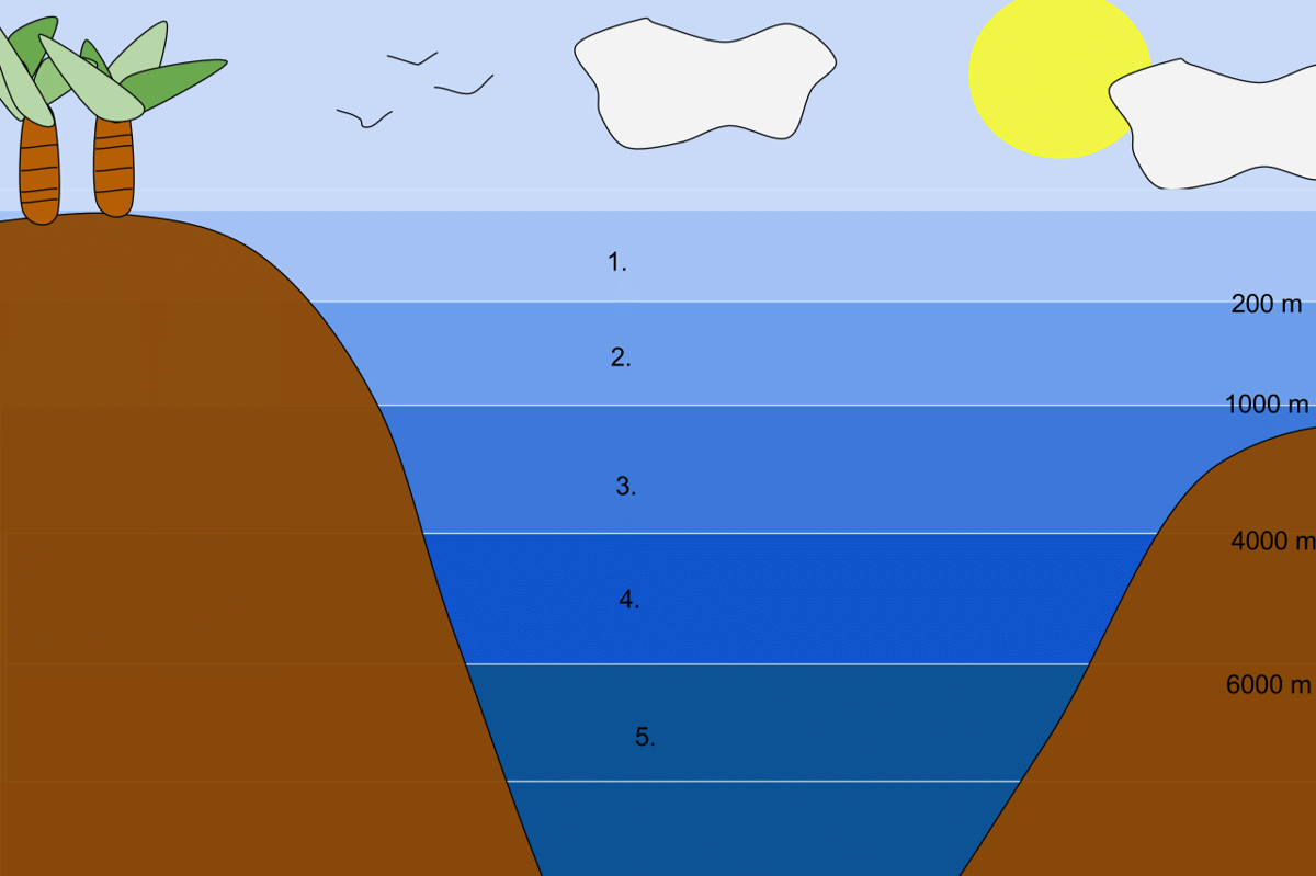 ilustrasi lapisan kedalaman laut