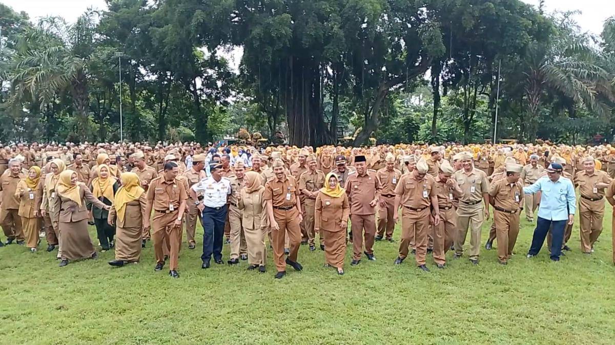 Ilustrasi ASJ Pemerintahan Kabupaten Magetan. IDN Times/Riyanto.