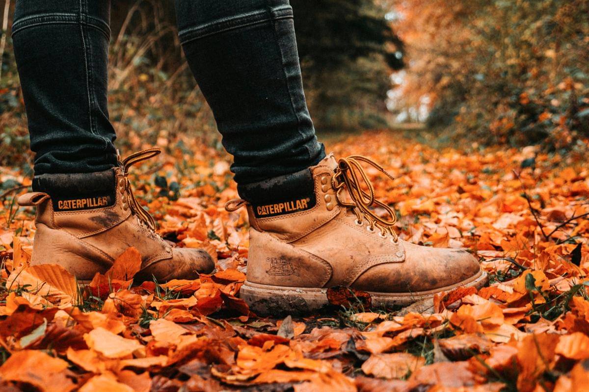 ilustrasi sepatu Caterpillar original
